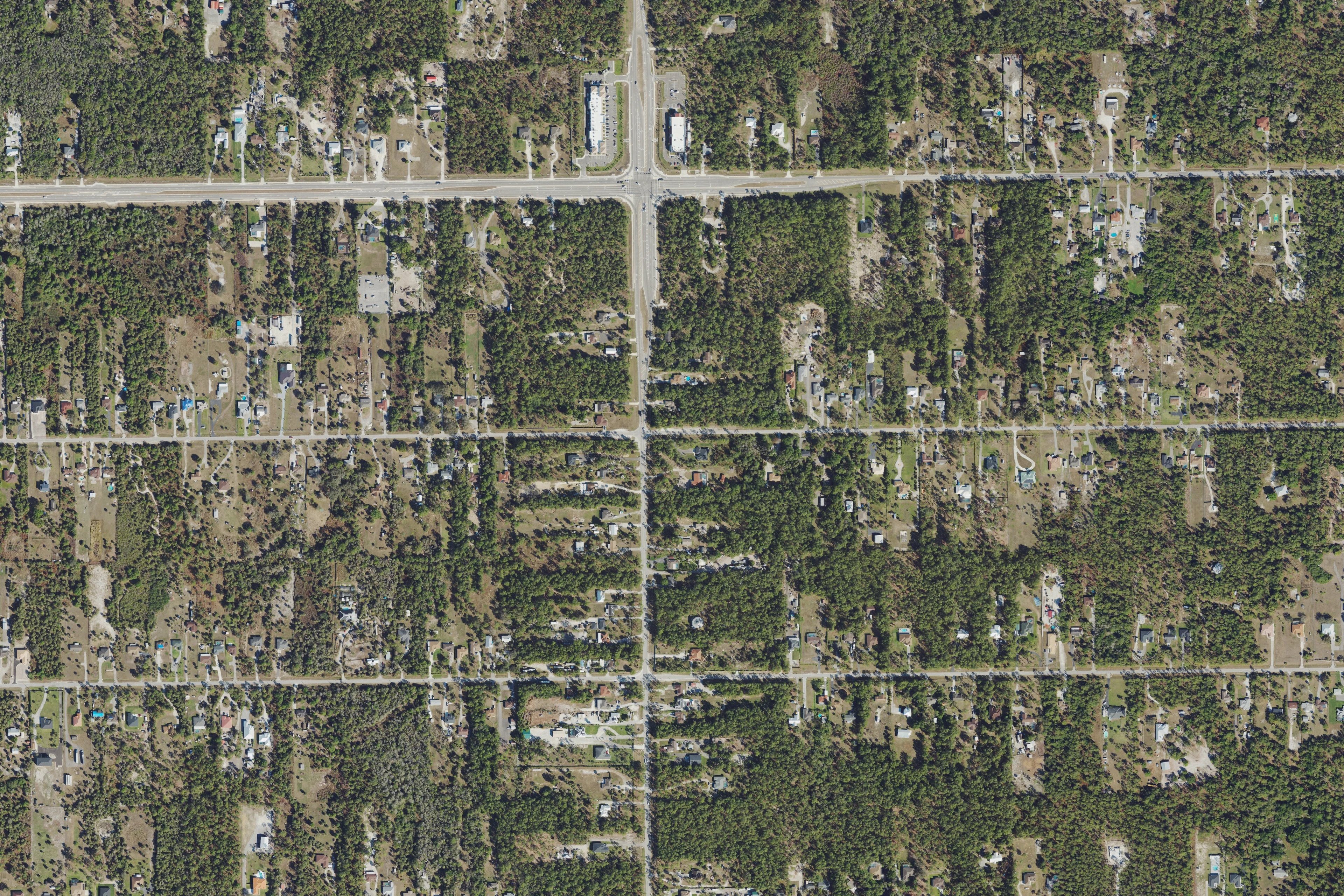 Aerial view of Golden Gate Estates roads and wooded homesites near Everglades Boulevard