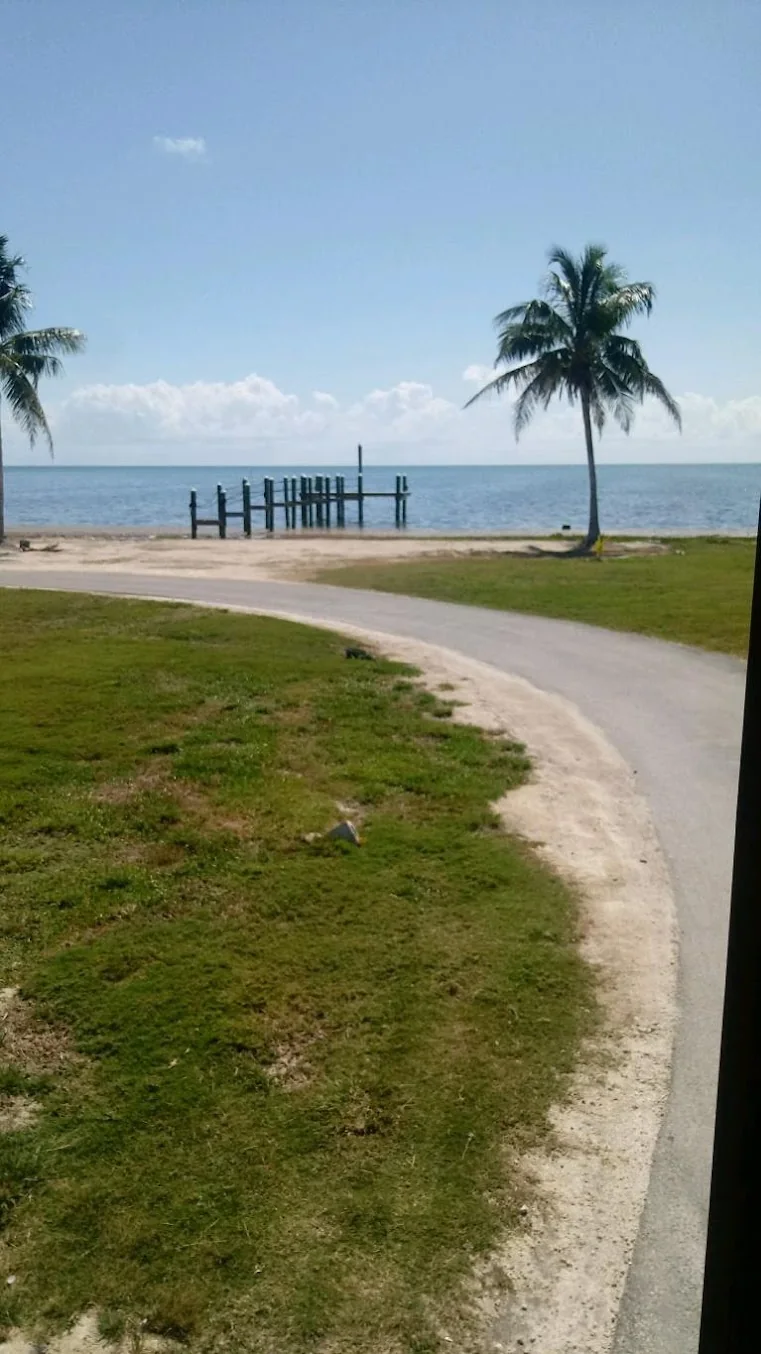 A curved driveway and palm trees beside the water from the company photo collection